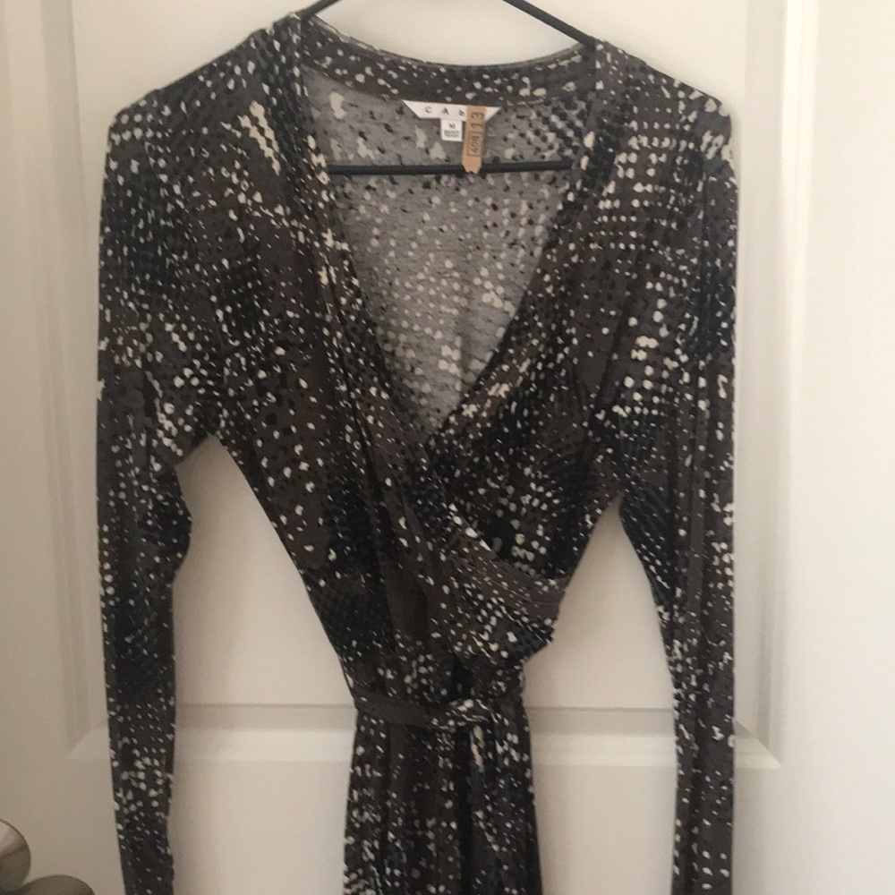 Cabi dress